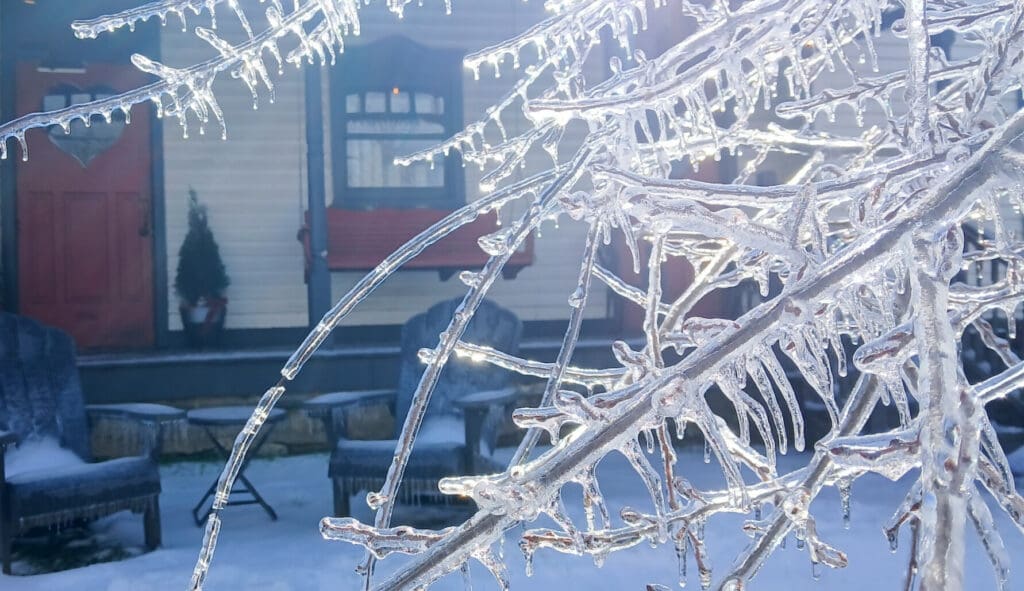 CEO Letter: The Pain and Beauty of Ice 2