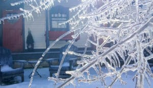 CEO Letter: The Pain and Beauty of Ice 1